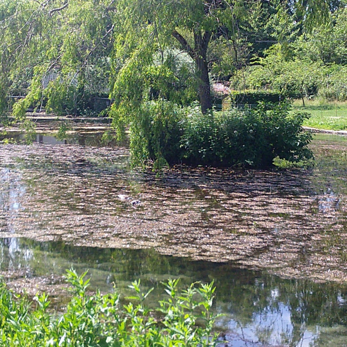 Verwood Church of England First School and Nursery - Ash Base at Springhead